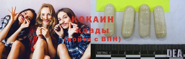 сатива Киреевск