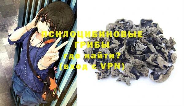 сатива Киреевск